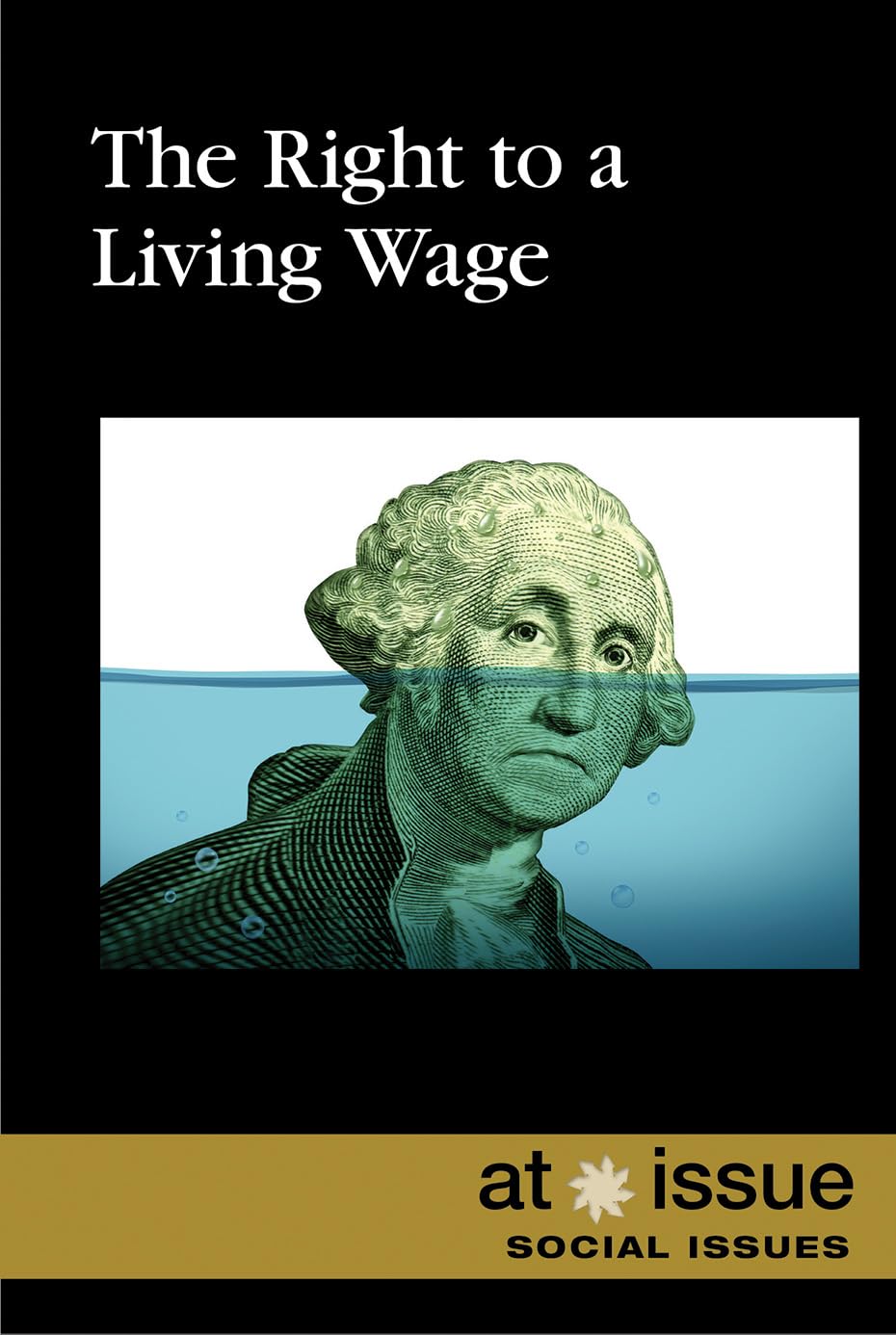 Buy The Right to a Living Wage (At Issue) — BookShops.in
