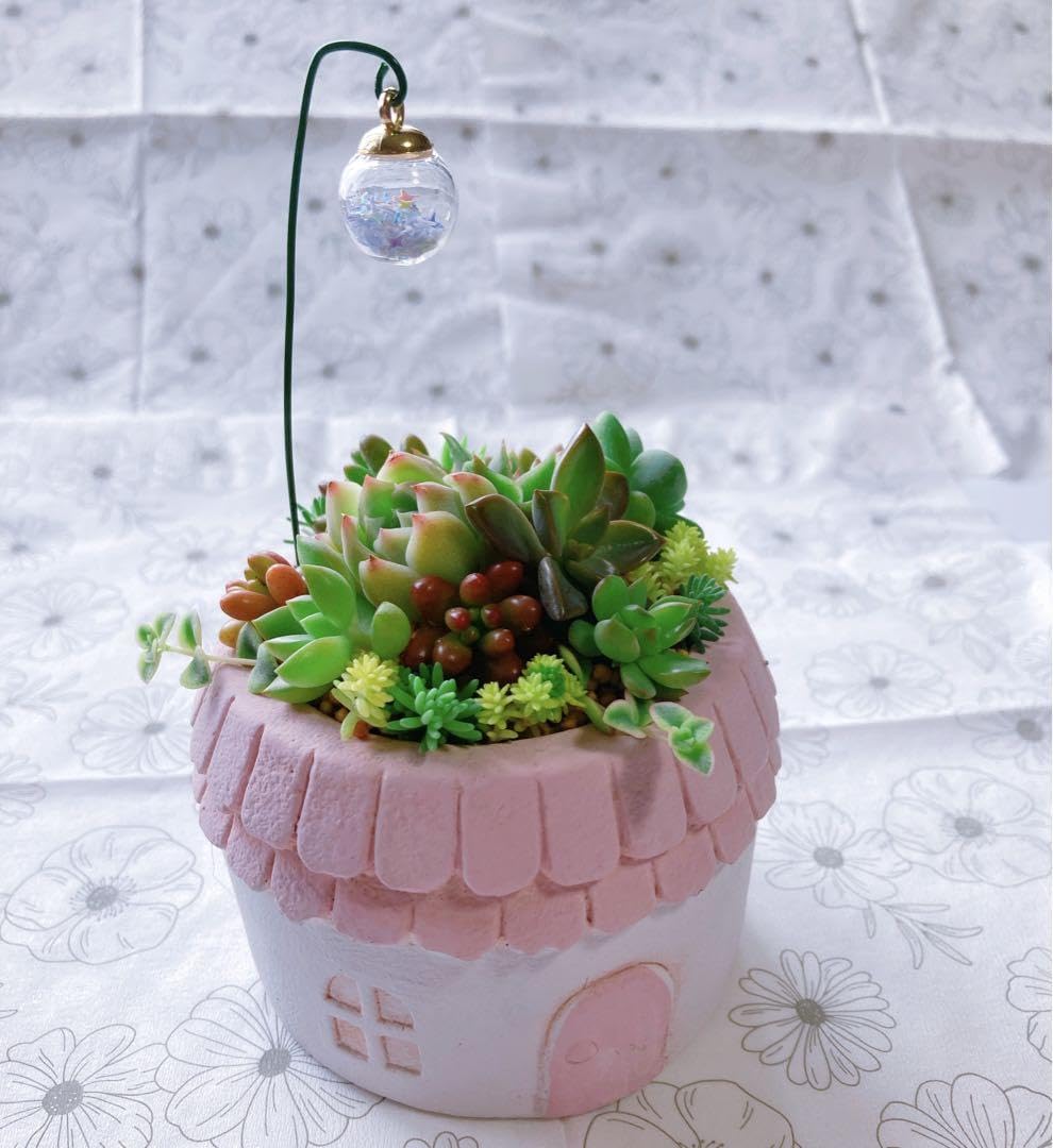 アメリカンフラワー♡スマイラックスと恐竜ピック付き多肉植物寄せ植え 恐竜の寄せ植え〜多肉植物寄せ植え/多肉植物寄植え/多肉植物