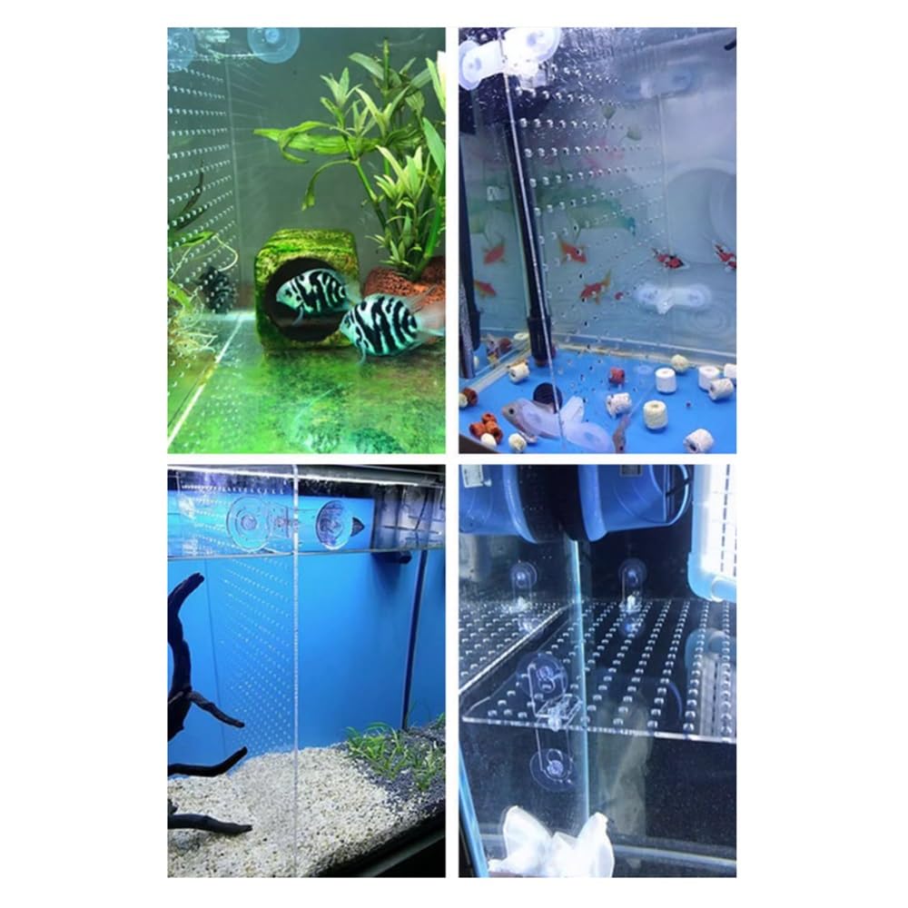 bangminda Aquarium scheidingswand aquarium tank scheiding plank