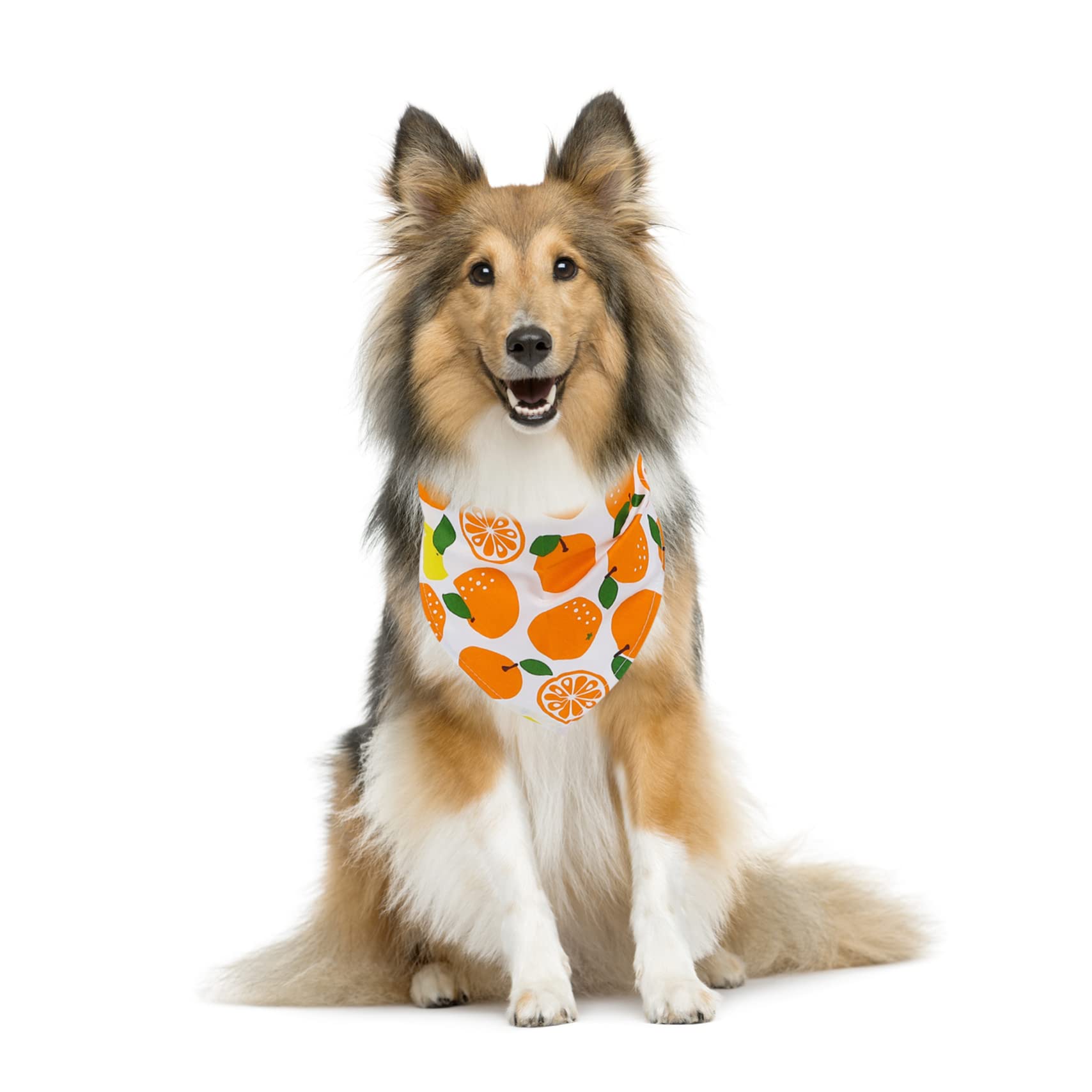 BESPORTBLE 15pièces Bandanas pour Chiens Et Écharpes Coton Motif Fruits Accessoire De pour Animaux De Chaque Motif Pomme Verte Vert Orange Fraise Banane