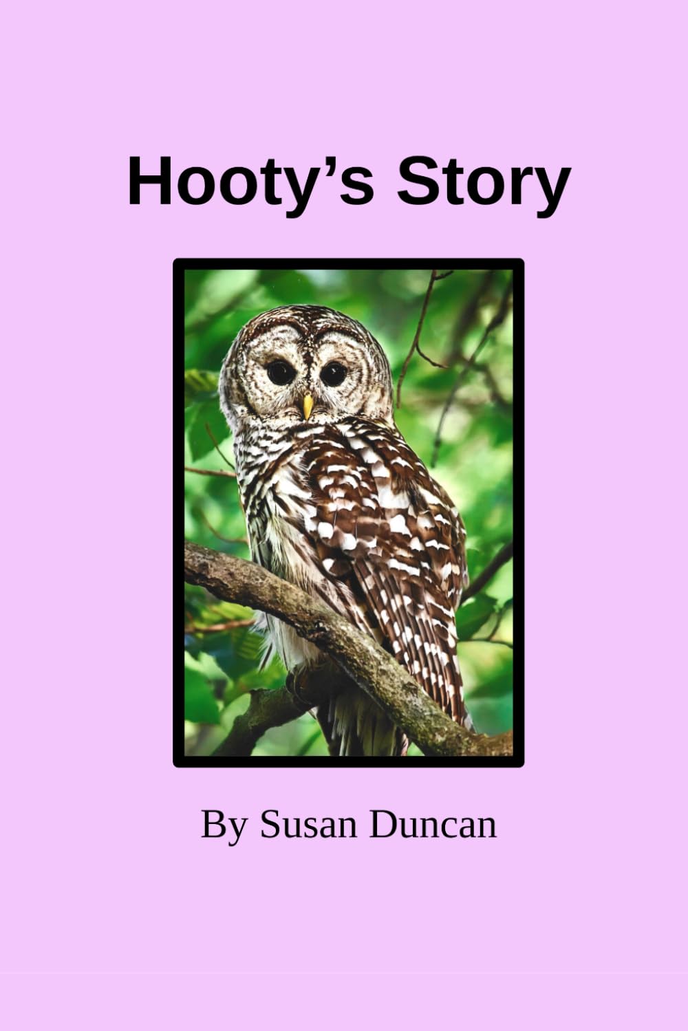Hooty's Story