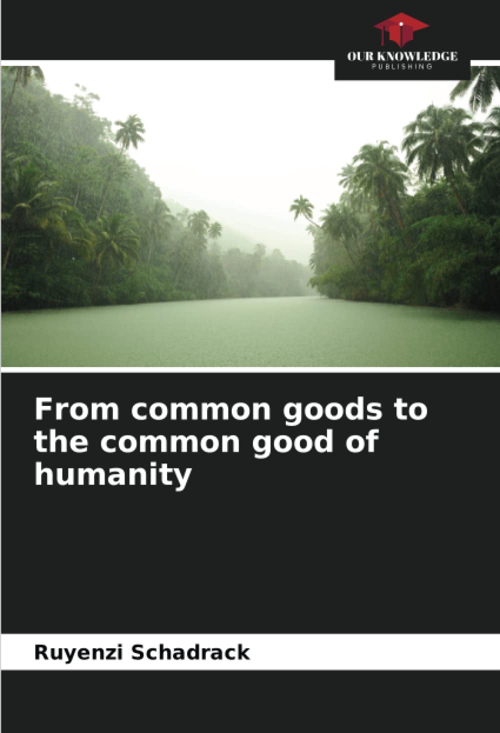 From common goods to the common good of humanity
