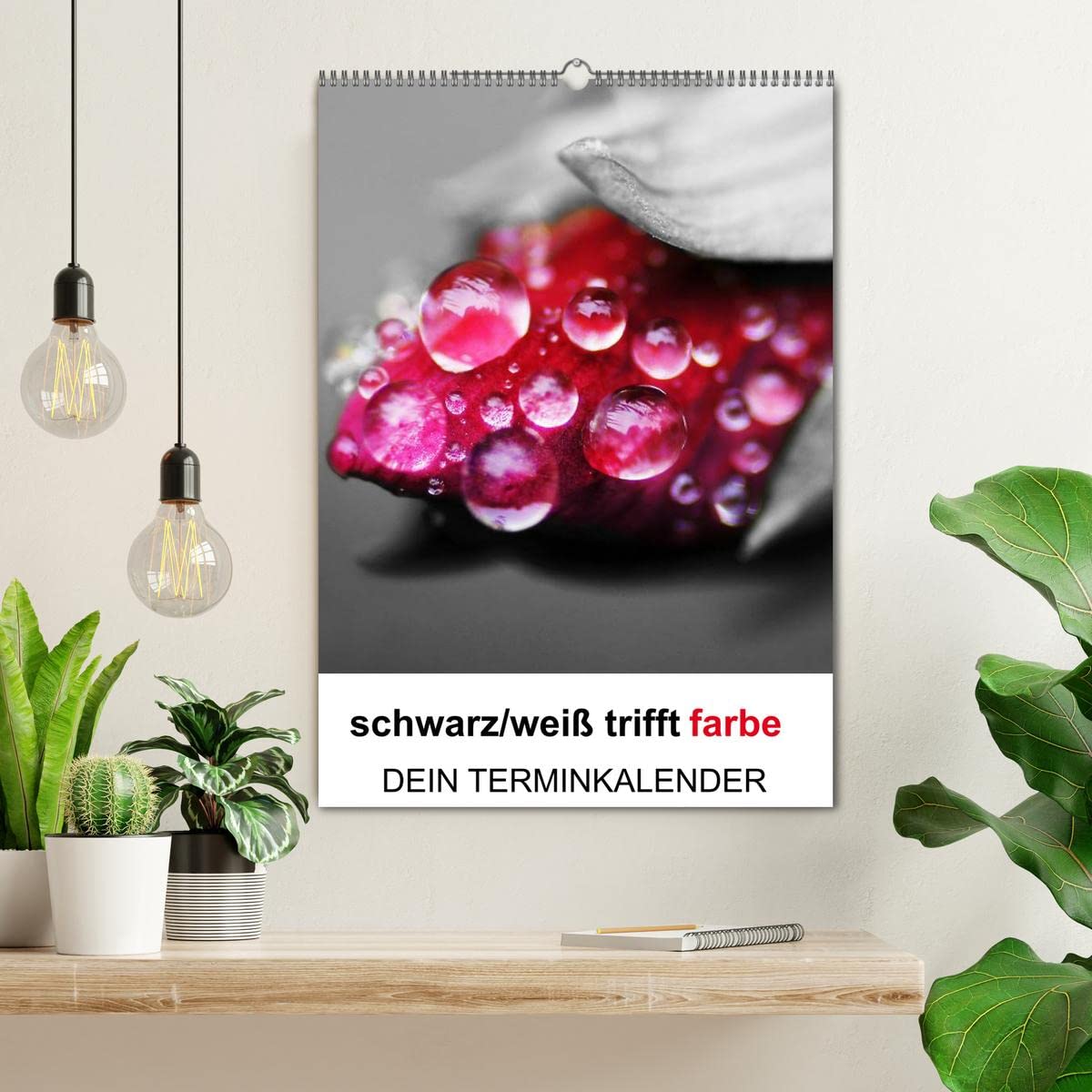 schwarz/weiß trifft farbe - DEIN TERMINKALENDER/Planer (Wandkalender 2026 DIN A2 hoch), CALVENDO Monatskalender