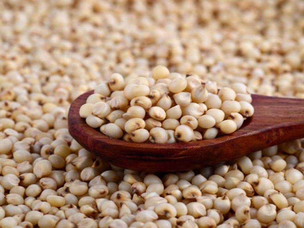 OKHLI MUSAL BRAND Organic Superior Whole Grain A+ Grade Sorghum (Jowar) Seeds Sabut Jowar 1Kg (B0B8QDV47D) Amazon Price History, Amazon Price Tracker