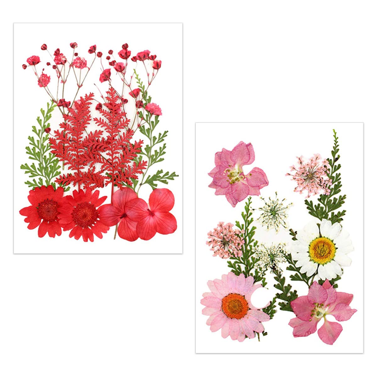 Natural Real Dried & PRESSED Flowers Combo Sheets for Art Craft - Mixed, Multicolor for Soap, Candle, Scrapbooking, DIY, Resin Jewelry, Pendant - [Assorted: Red Flowers Sheet & Pink Flowers Sheet Combo]-image-32