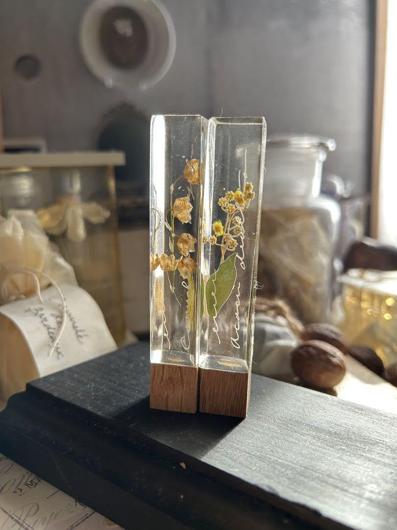 Amazon | すずらん ミモザ 樹脂標本 筆記体 errer 気泡 植物標本