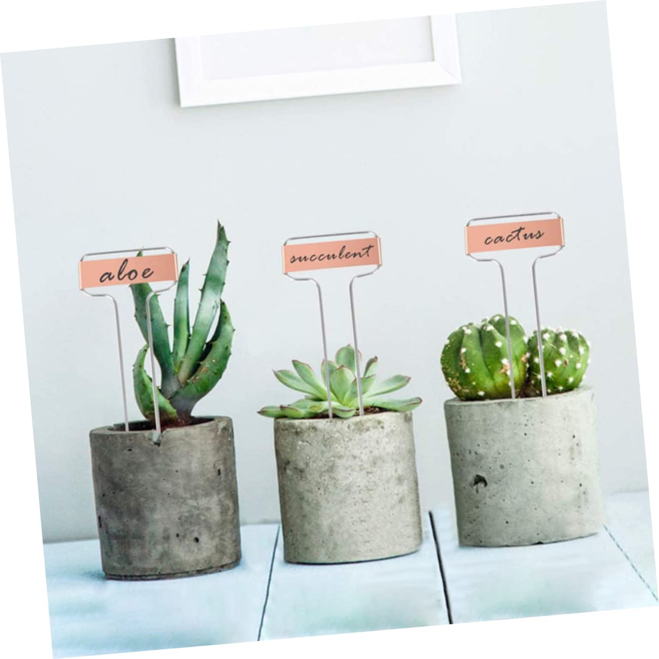 20 Stück Wetterfeste Metall Kupfer Pflanzenbeschriftungen für Garten Gartenmarker Pflanzenlabel für Gemüse für Outdoor Pflanzen