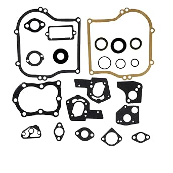 Gasket Set Compatible with Engine Replaces # 495603 397145 297615 4-5hp