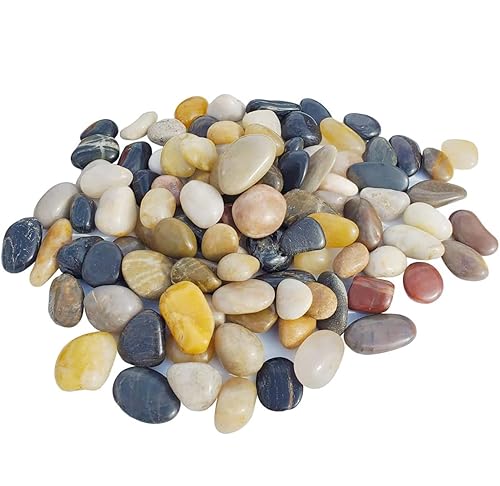 Grava pulida de 2 libras, piedras de colores mixtos pulidas naturales, pequeñas piedras decorativas de roca de río (32 onzas)