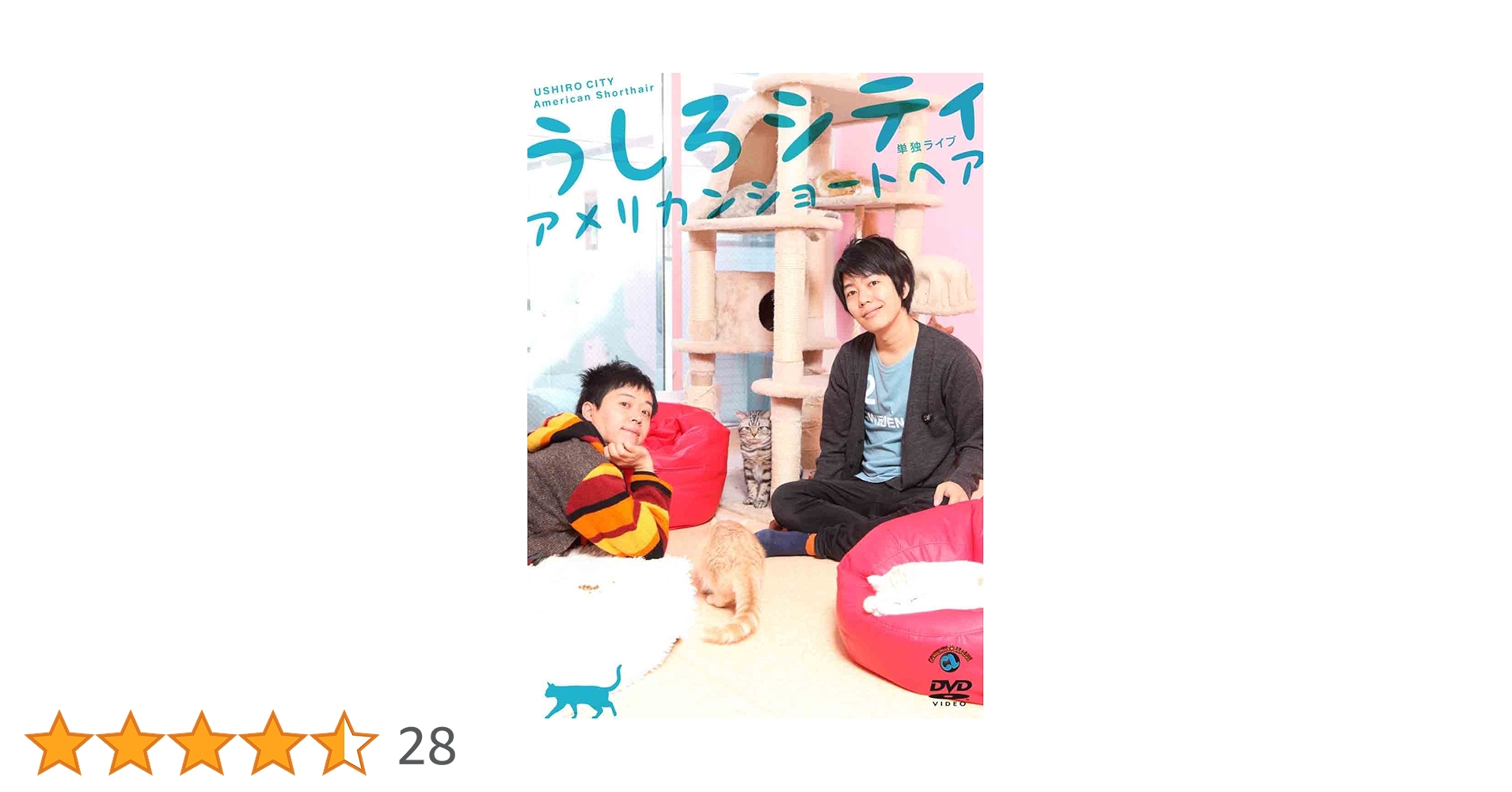 うしろシティ　DVD グッズ　まとめ売り うしろシティ/ベストネタシリーズ、すばらしく眠い、サンダー等