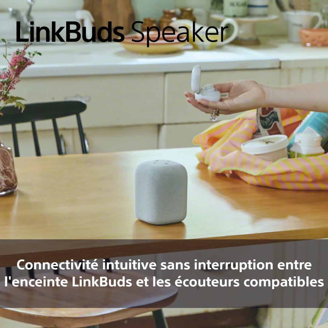 Sony Enceinte LinkBuds - Enceinte Portable sans Fil Bluetooth, IPX4, Résistante à l'eau, Batterie de 25 Heures, Qualité d'Appel Clair, Outdoor, Voyage - Noir