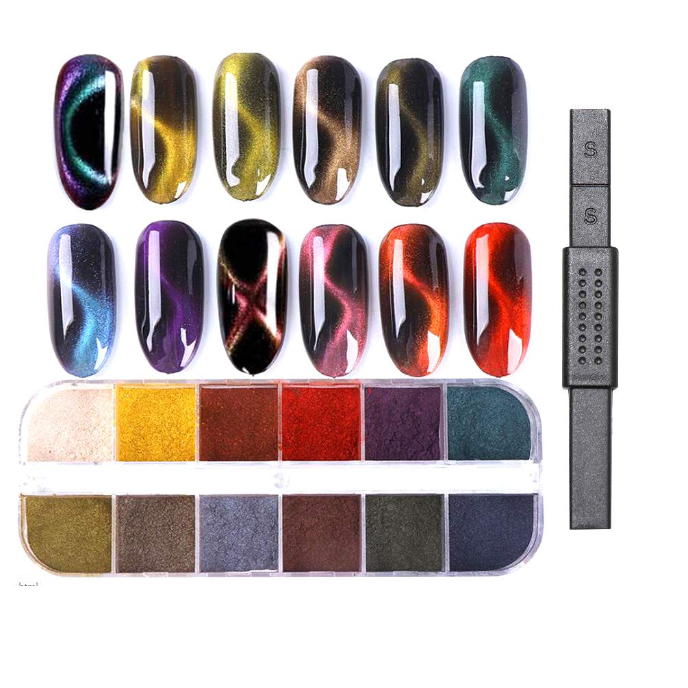 Polvo de uñas de ojo de gato, 12 rejillas, imán de uñas, pigmento, polvo de inmersión, espejo, purpurina para esmalte de gel UV, herramienta de manicura de cielo estrellado