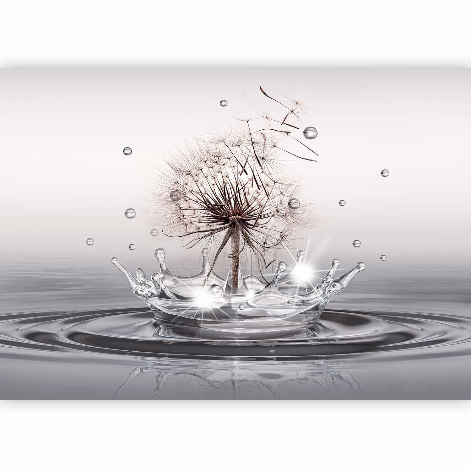 murando Photo Wallpaper Dandelion 400x280 cm Non-Woven Premium Art Print — image 1