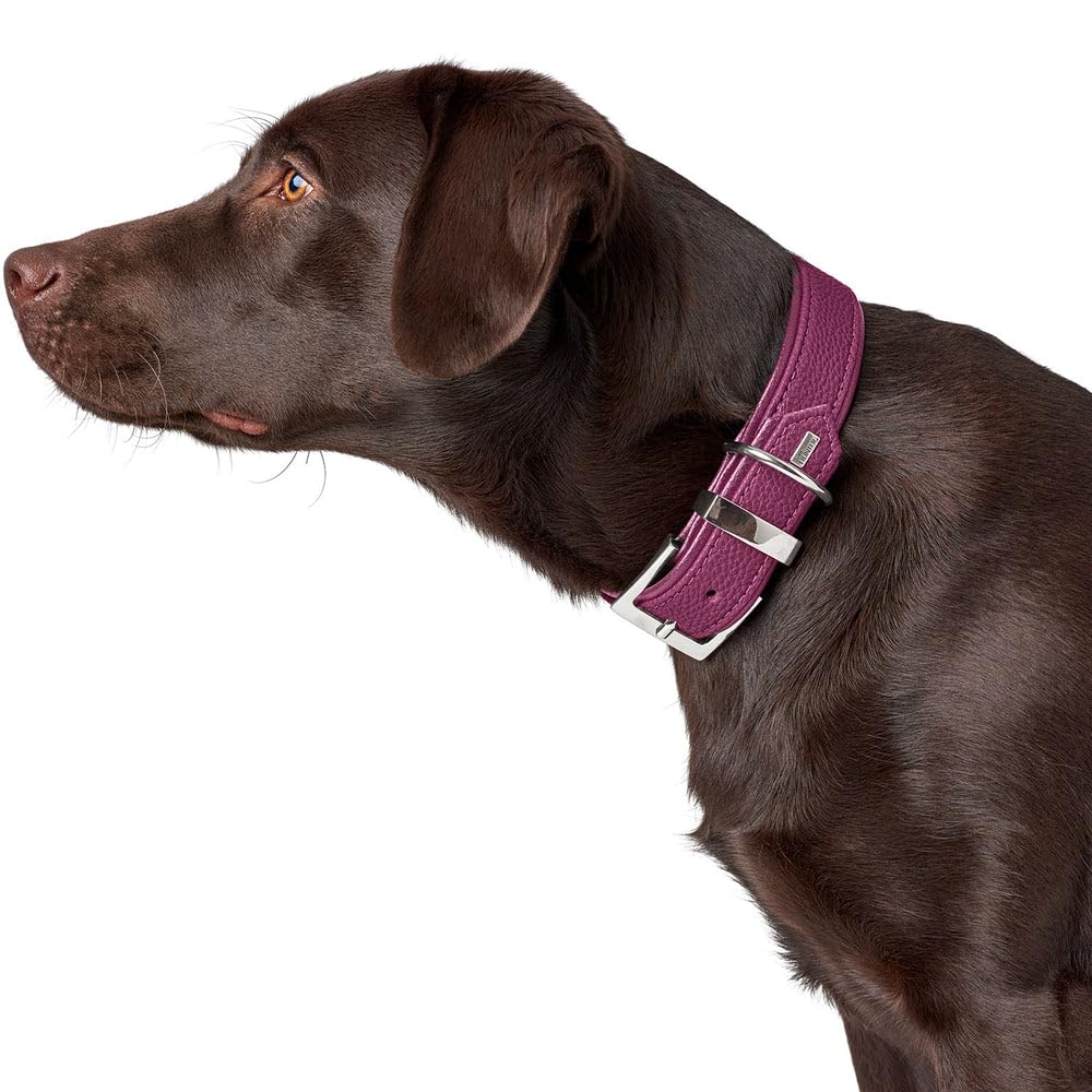 HUNTER Hundehalsband Sofia, Farbe: braun, Kunstleder in Rindnappa-Optik, pflegeleicht, Brilliant gefärbt, weich gepolstert, reißfest, Made in Germany, Größe 60
