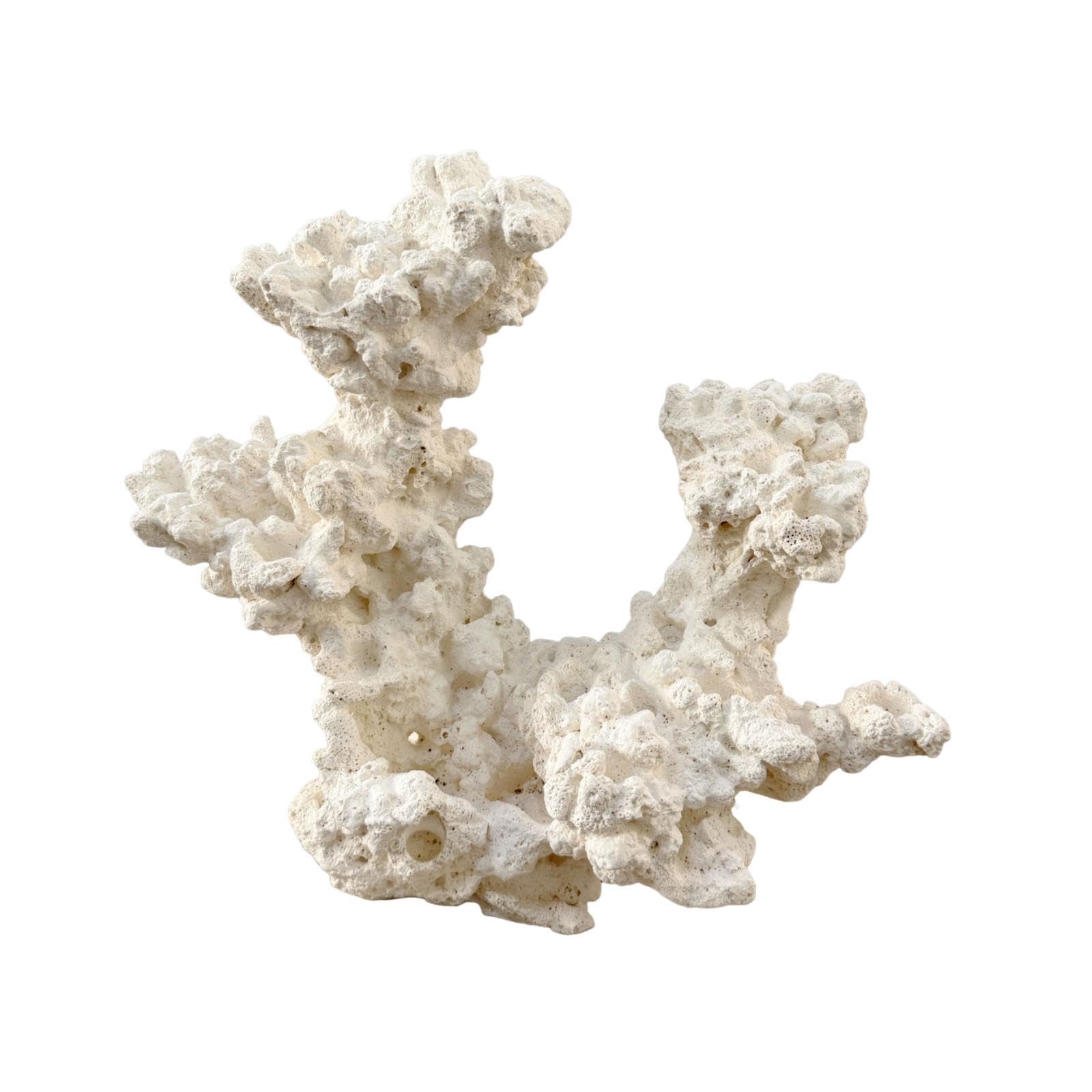 Décoration D'aquarium pour Poisson-Clown : Cachette, Sculpture Ornementale, Grotte de Reproduction pour Aquarium d'eau Douce, Accessoires pour, Style C