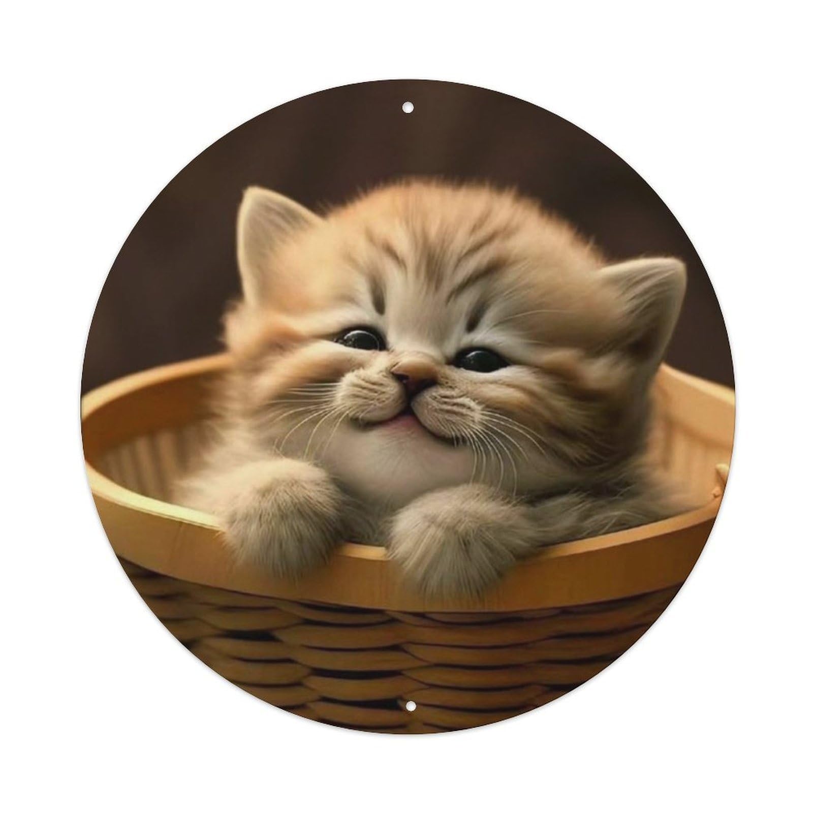 Animal Orange Tabby Kitten In Woven Basket Cozy Cute Vintage Metal Tin Sign Plaque Wall Decor for Cafe, Club Bar, Office, Garden Metal Poster 8x8Inch