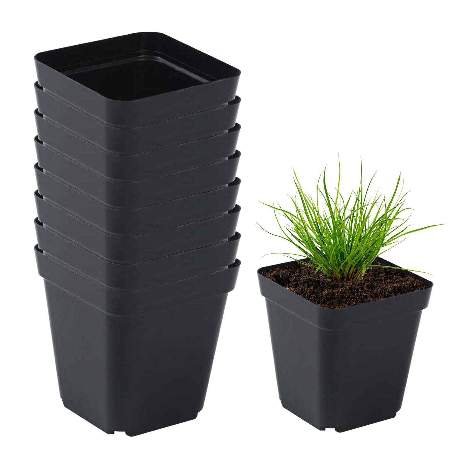 Amazon.co.jp: 植物育苗ポット ックスクエアプラスチック苗ポット