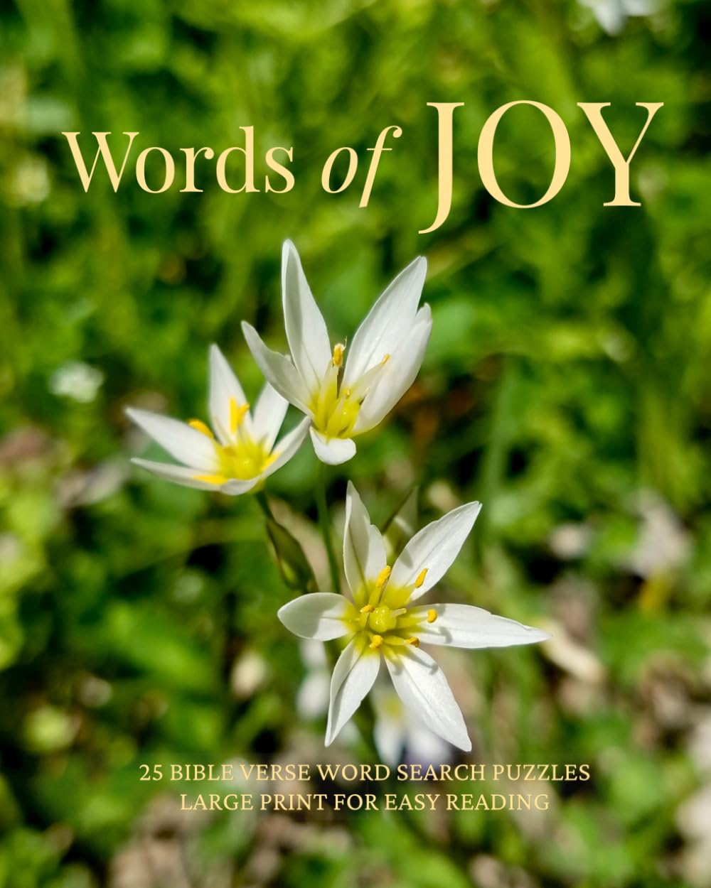 Words of Joy: Large Print Bible Verse Word Search Puzzles for Adults & Seniors - Relax, Reflect, and Enjoy Quiet Moments with God