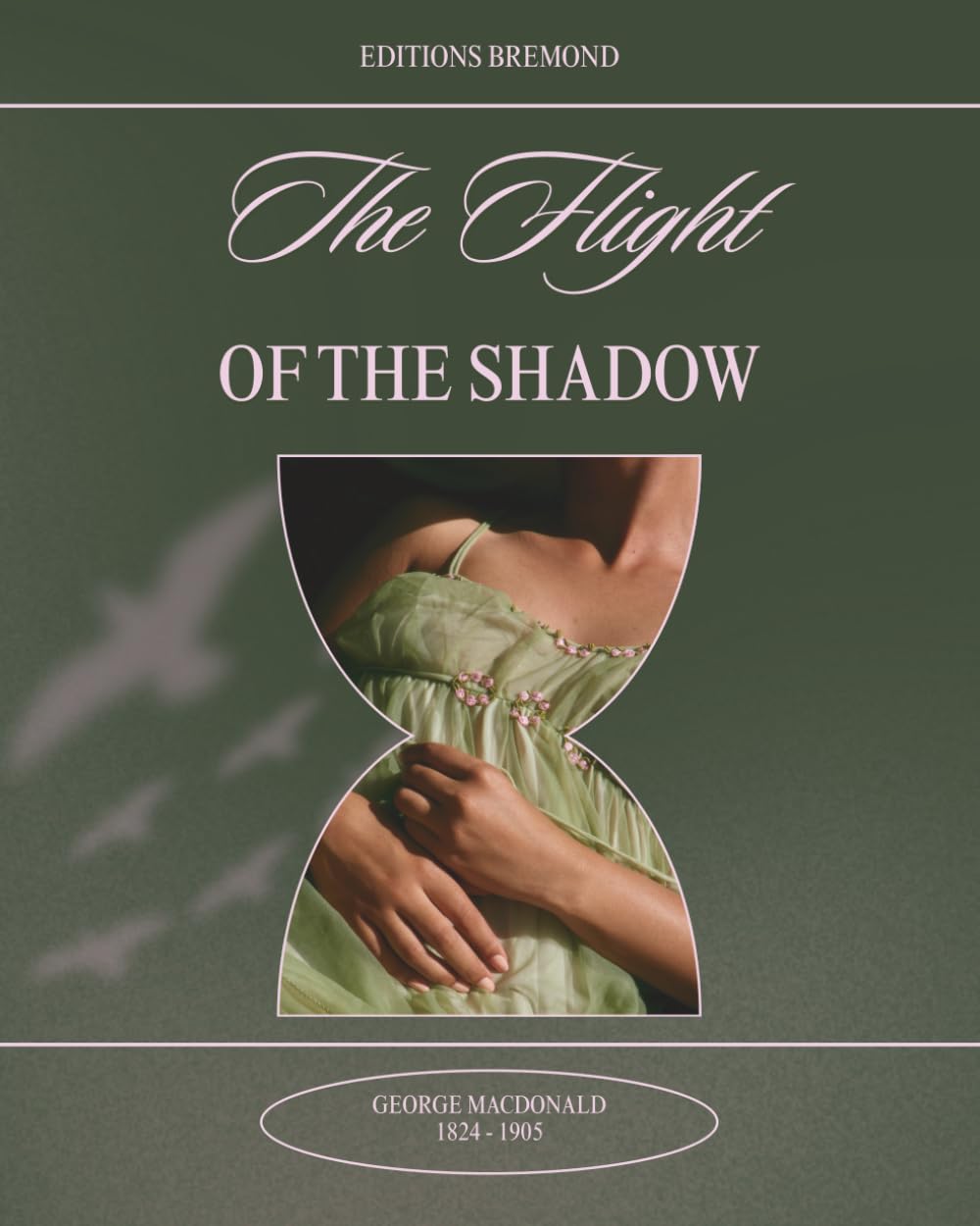 The Flight of the Shadow (illustrated)