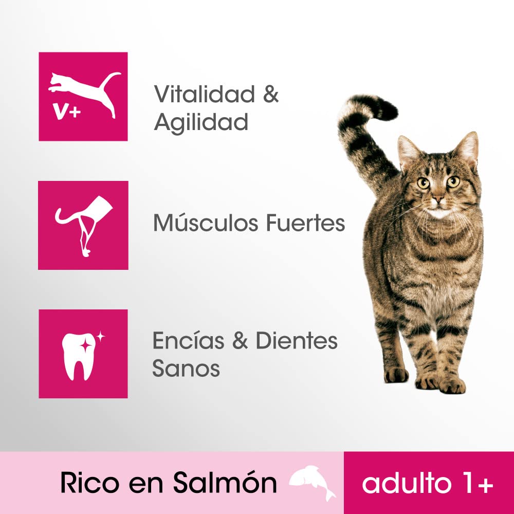 PERFECT FIT Pienso para Gatos Esterilizados Sabor Salmón (5 bolsas x 1,4kg)