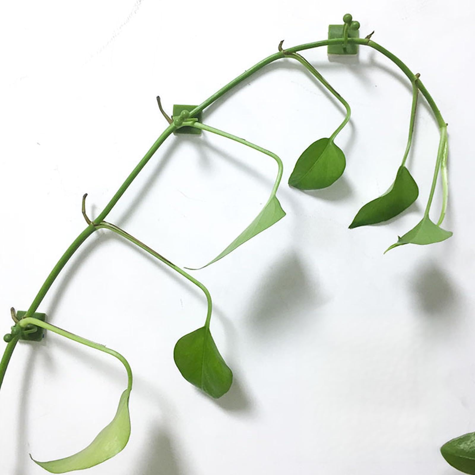 10Pcs Plant Climbing Wall Fixture Clips Plant Vine Traction Invisible Wall Vines Fixing Clips Self-Adhesive Plant Wall Clips (2)