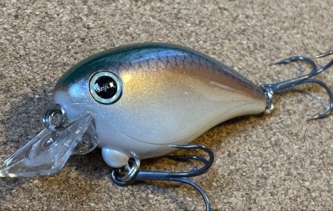 新品 REVONIK レヴォニックドットシックス　トワイライト Amazon.co.jp: REVONIK DOT SIX F/レヴォニック ドットシックス