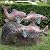 CLYB Set of 3 Garden Koi Fish Statue Antique Copper Fishes Outdoor Décor Garden Sculptures & Statues Metal Koi Fish Figurine Ornaments for Outdoors,Patio Decor,Backyard and Home Kitchen Decorations