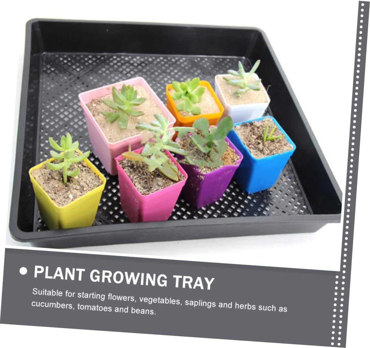 BESPORTBLE 5pcs Plant Growing Tray for Germination and Breathable Nursery Tray for Vegetables and Flowers for Indoor Gardening and Starting