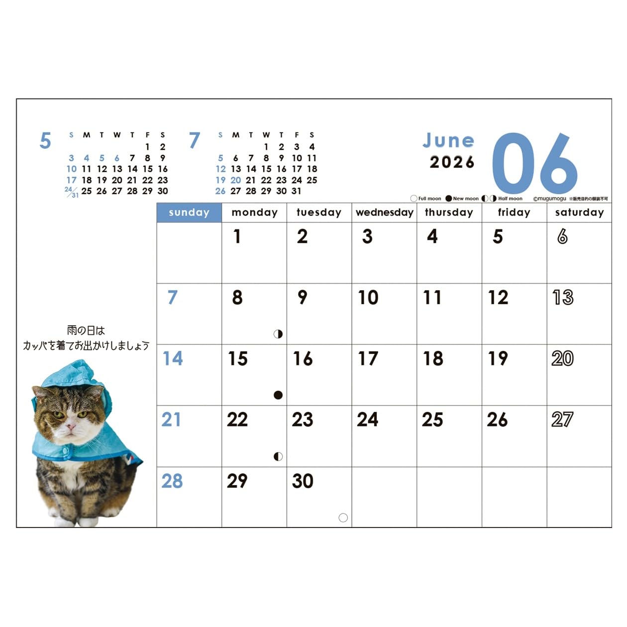 Amazon | 2026年カレンダー まるちゃん(卓上) | カレンダー | 文房具