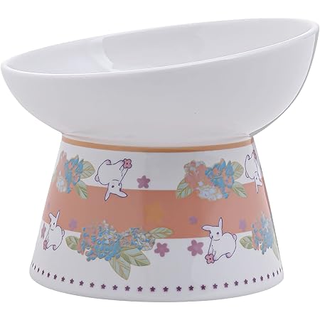 Amazon 猫 食器 ごはん皿 ねこの餌入れ 陶器 猫 えさ 皿 食べやすい みずのみ お皿 ヘルスウォーター フードボウル 15度傾斜 脚付 滑り止め 犬猫用 オレンジ Dopudo 食器 ボウル 通販