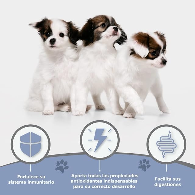 Foto 6 de 8 de Avantis Pet Puppy Pollo y Arroz 3 kg - Pienso para Cachorros - Hierbas Naturales - Alta Digestibilidad