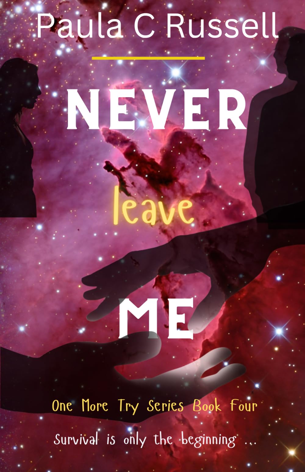 Never Leave Me (One More Try Series)
