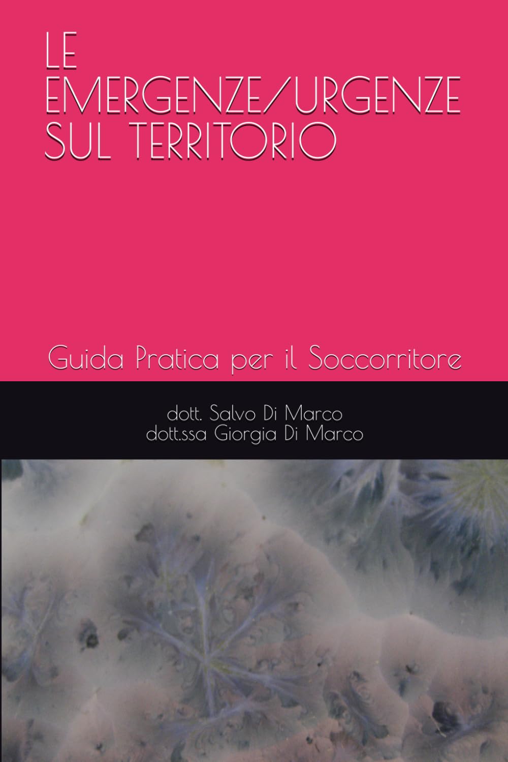LE EMERGENZE/URGENZE SUL TERRITORIO: Guida Pratica per il Soccorritore