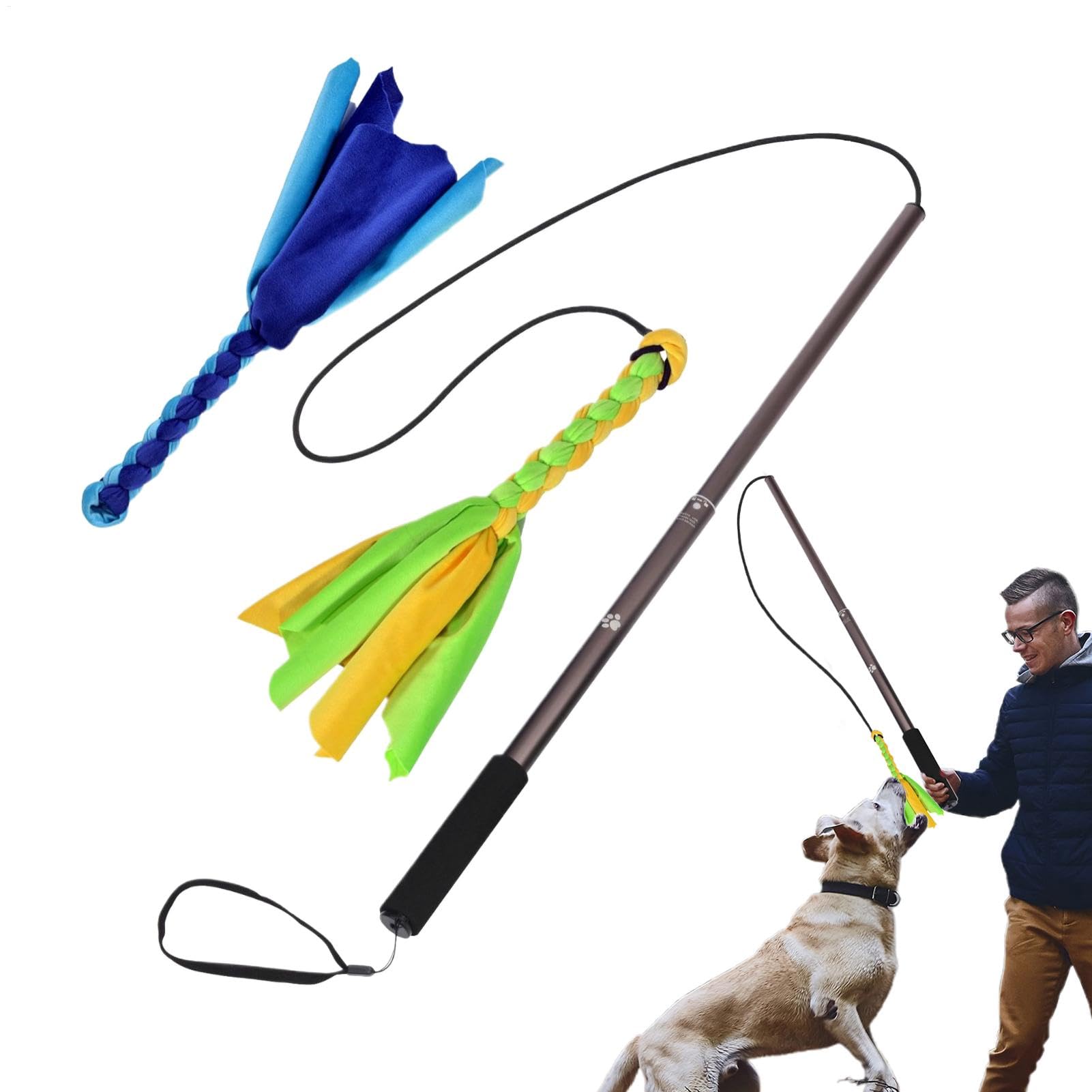 Flirt pole pour animaux de compagnie jouet de poursuite pour grand jardin et parc public