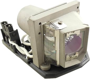 TLPLV10 Replacement Projector Lamp Bulb with Housing Compatible with Toshiba TDP-XP1 TDP-XP1U TDP-XP2U