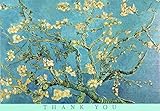 Almond Blossom Thank You Notes (Stationery, Note Cards)