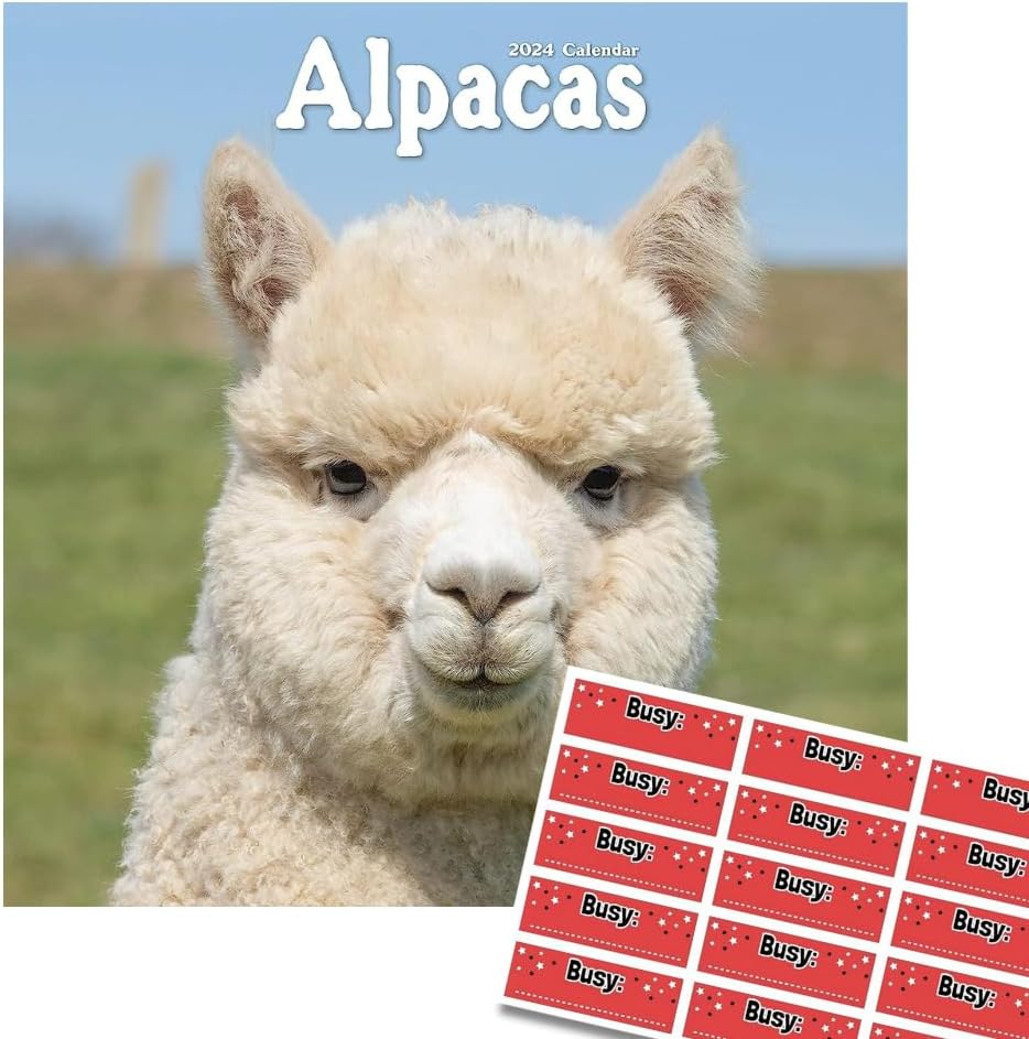 Alpacas Calendar 2024 Square Wall Calendar 16 Month With Free