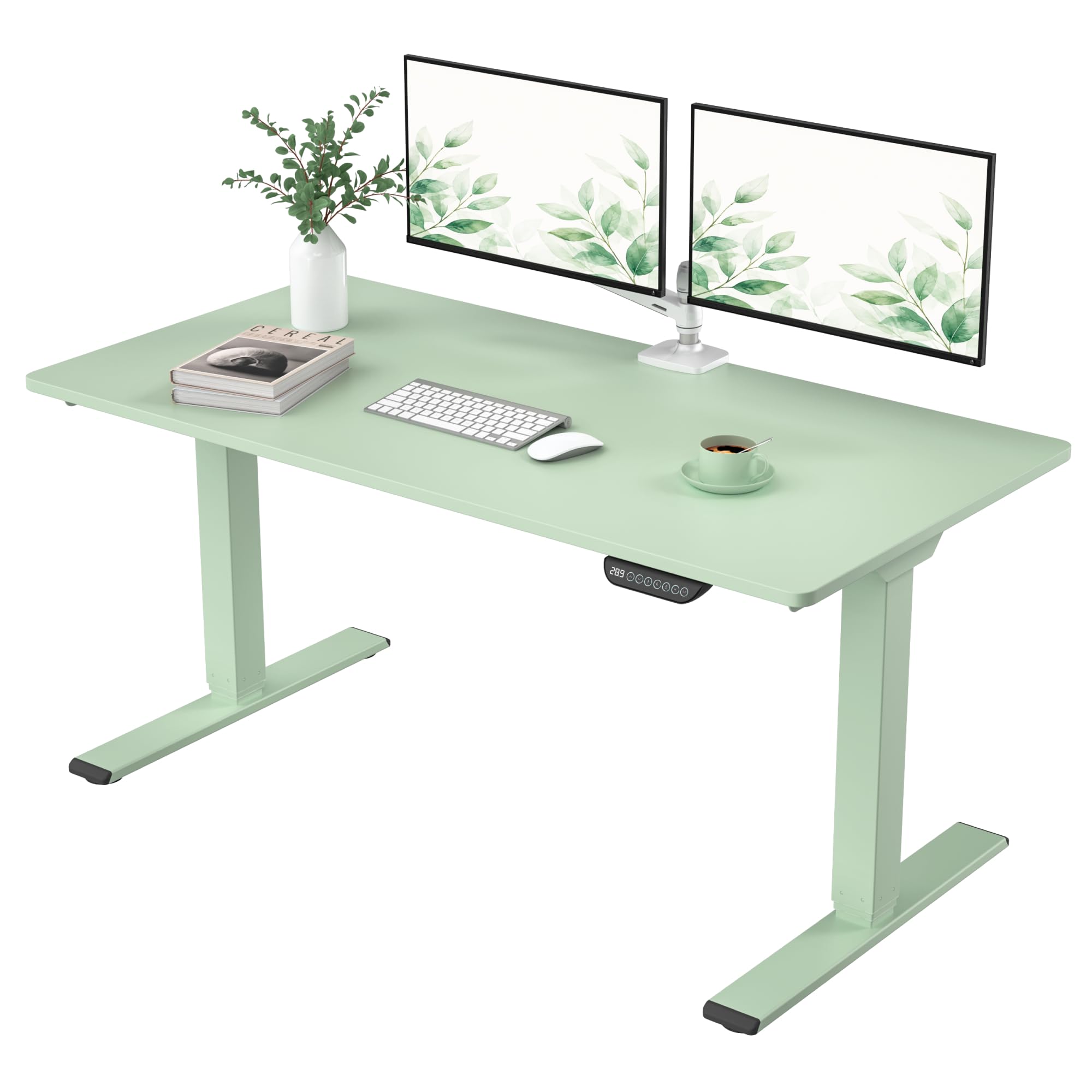 FLEXISPOT E6 MAX Mint Green Dual Motor 3-Stage Electric Standing Desk
