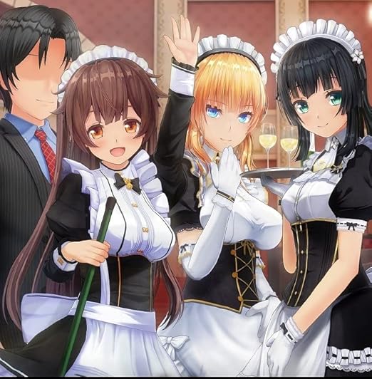 Amazon カスタムオーダーメイド3d2 2 5 スターターパック アダルトpcゲーム Pcソフト