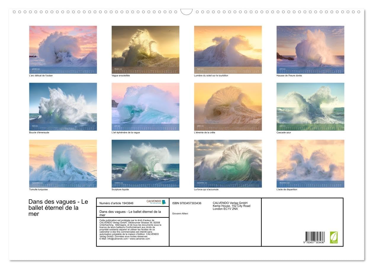 Dans des vagues - Le ballet éternel de la mer (Calendrier mural 2026 DIN A2 vertical), CALVENDO calendrier mensuel: Célébrant la danse intemporelle et captivante des vagues de l'océan.
