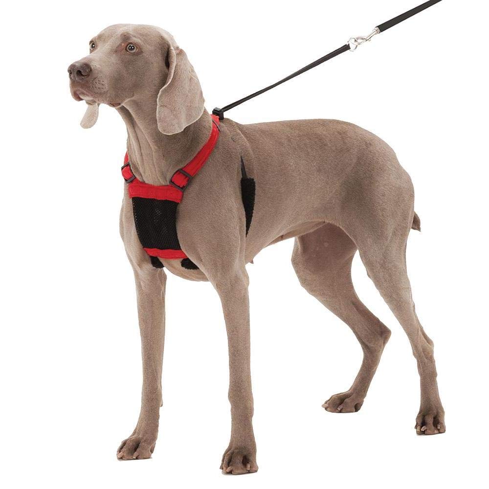 sporn no pull dog harness