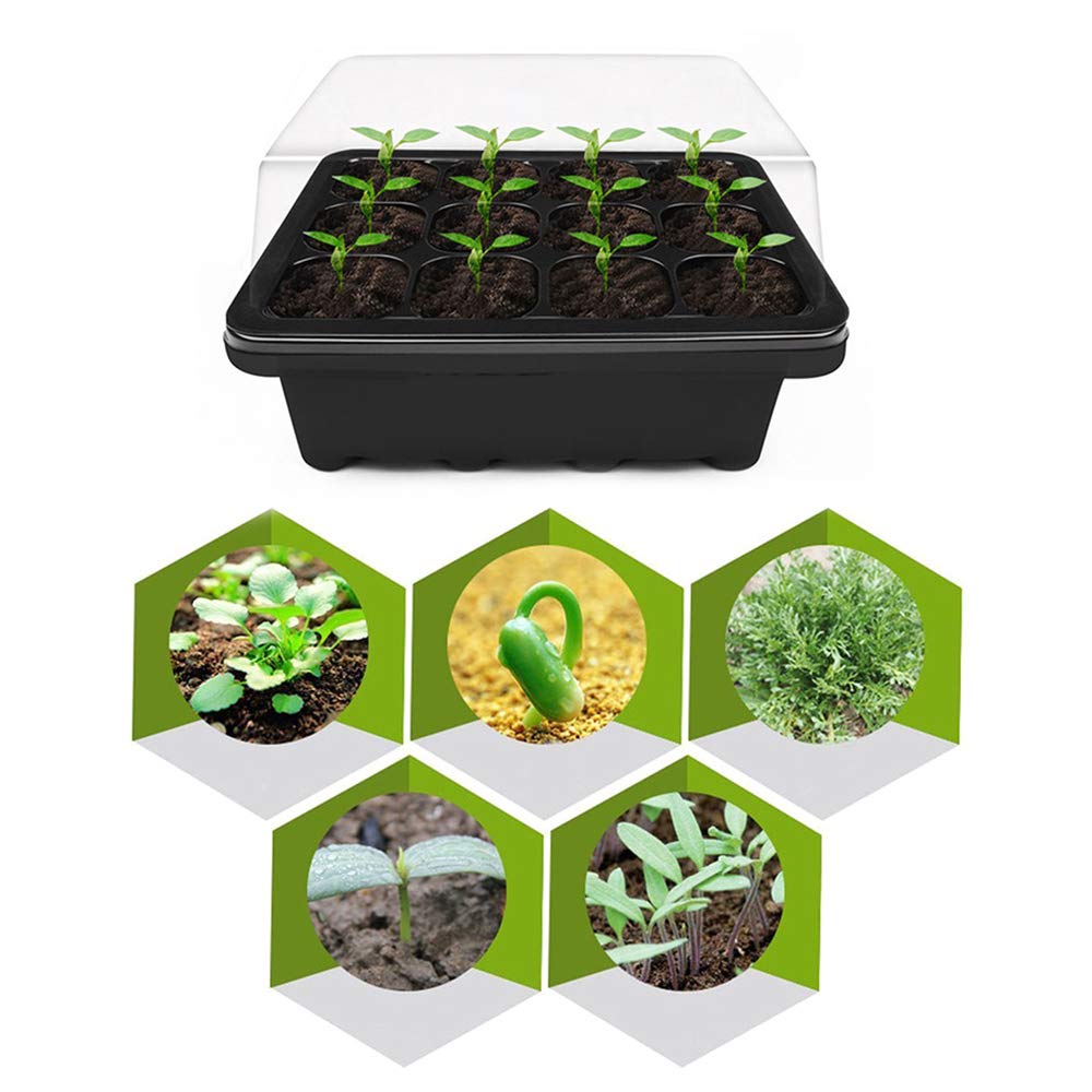 Lot De 10 Mini Serres Pour Semis - 120 Cellules, Avec Couvercle, Plateau De Culture, Propagateur Jardin - 6