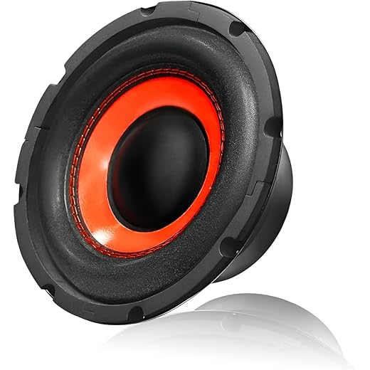Spaiko 10 Inch Subwoofer 250w RMS Woofer with 1000w Peak Pow