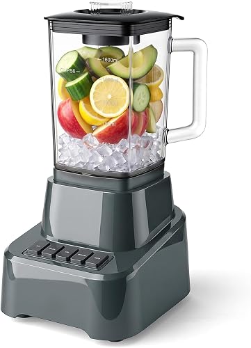 OLIXIS Professional Blender