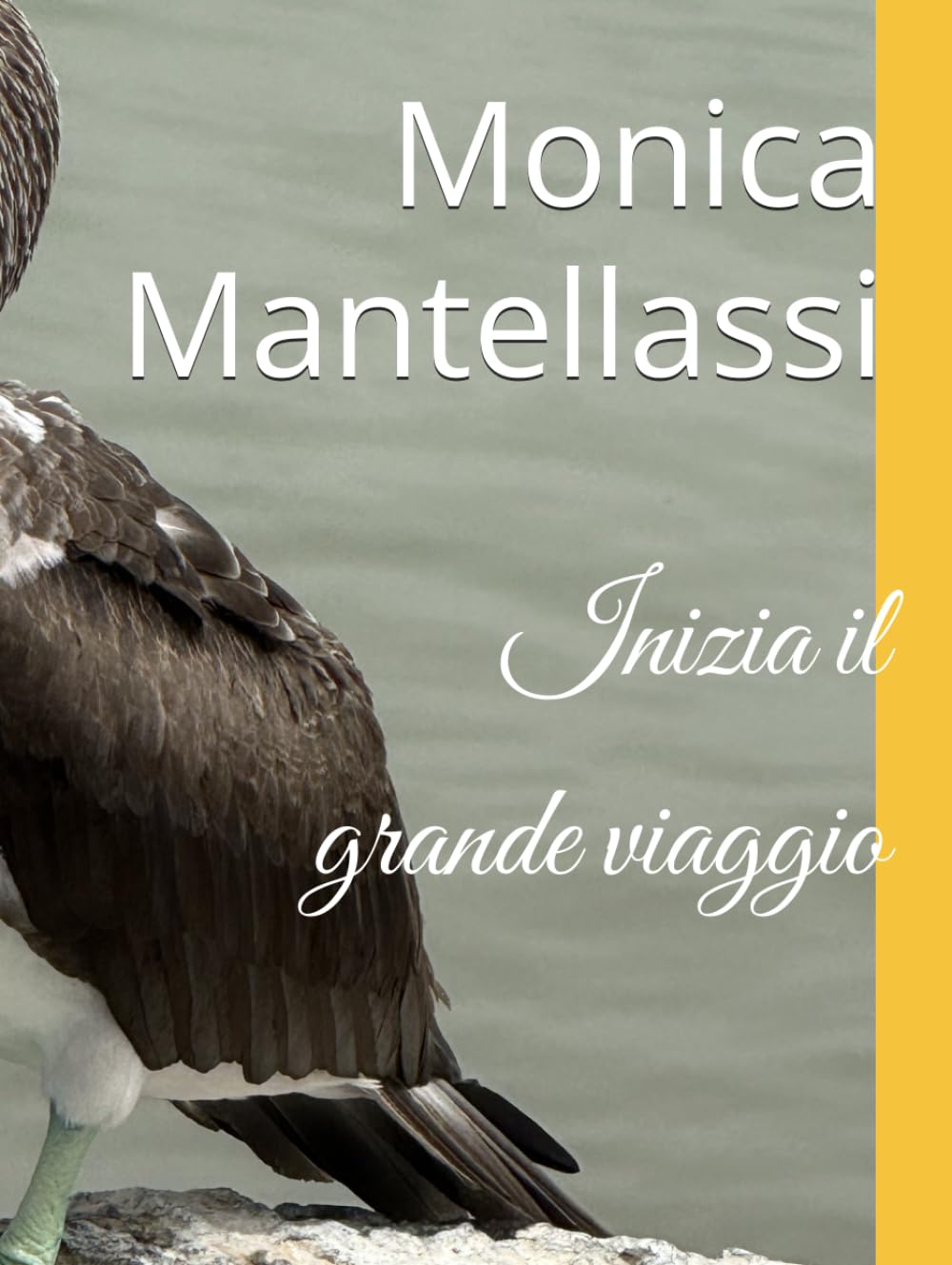 Inizia il grande viaggio