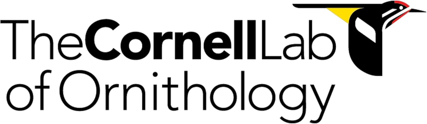 New York Puzzle Company - Cornell Lab Summer Trail - 1000 Piece Jigsaw Puzzle for Adults