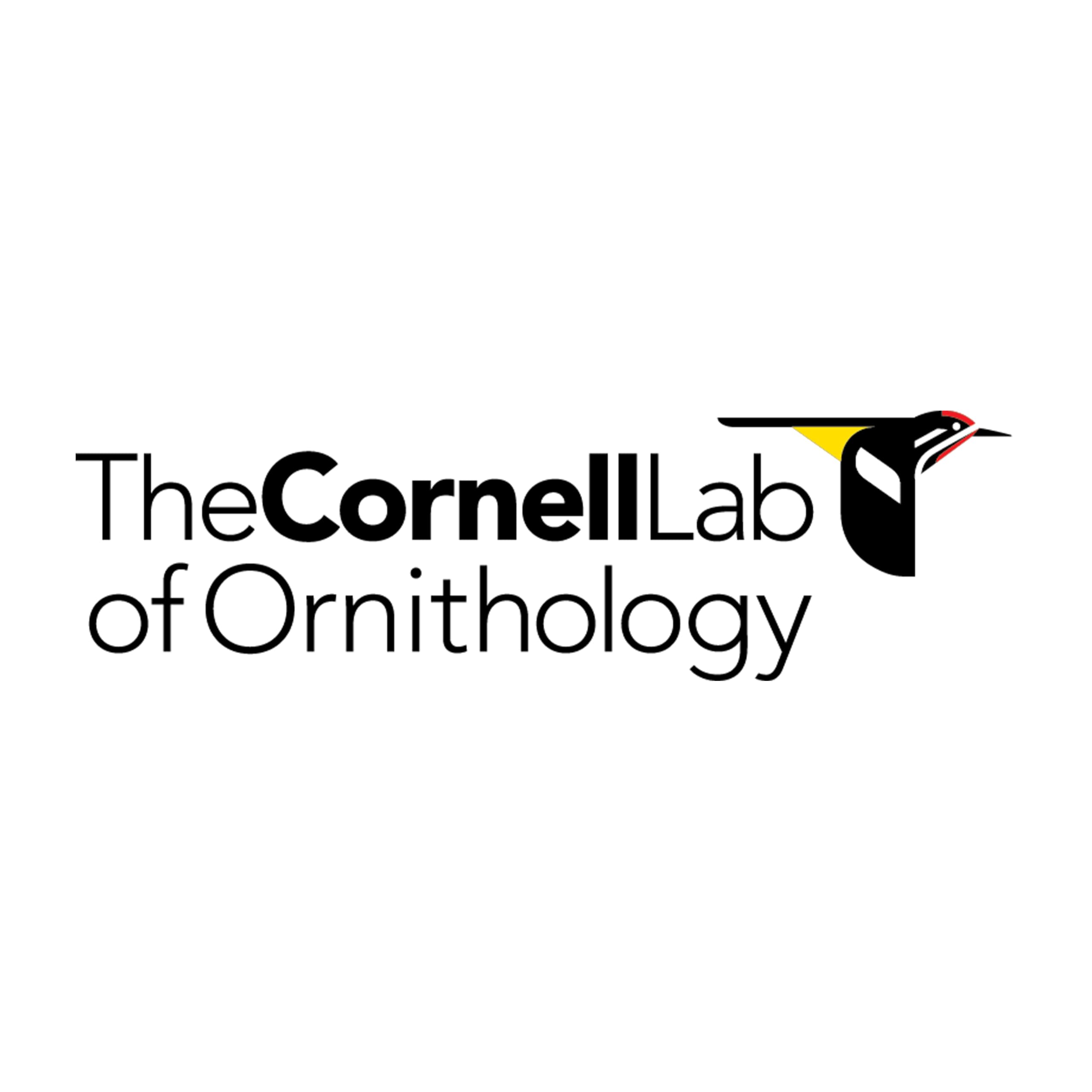 New York Puzzle Company - Cornell Lab Ruby-Throated Hummingbird Mini - 100 Piece Jigsaw Puzzle for Family Game Nights by Megan Gnekow - Image 5