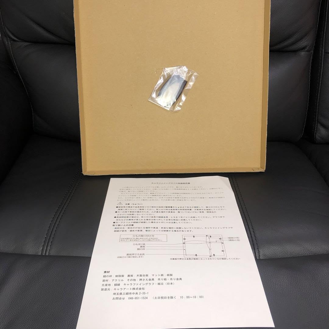 Amazon.co.jp: シャドウレディ 複製原画 キャラファイングラフ