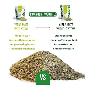 mate tea benefits () mate tea benefits