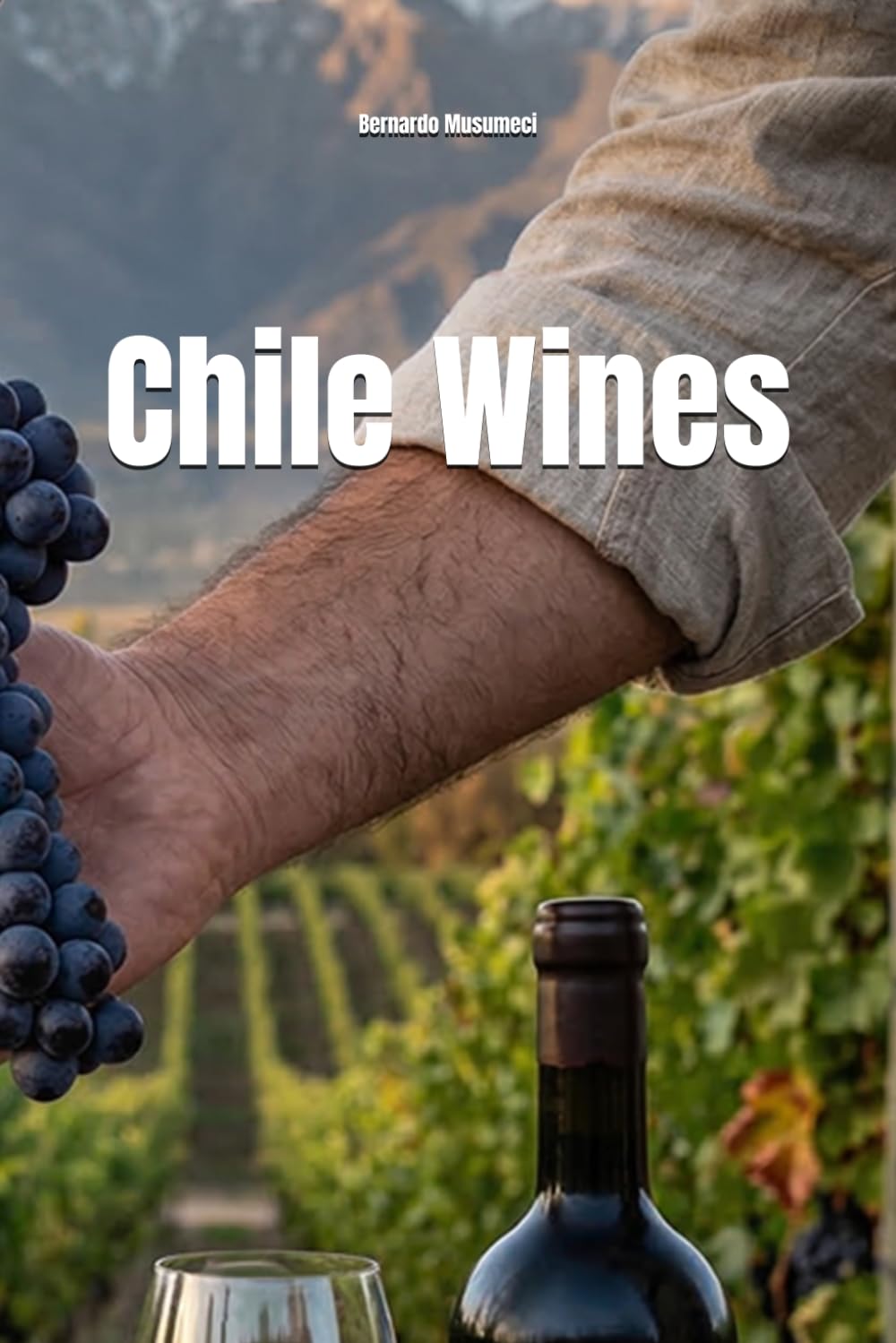 Wines of Chile (Wines of the World: Chile)